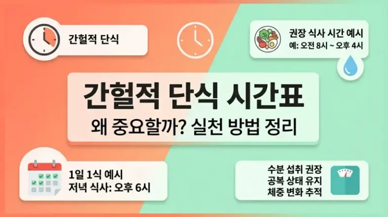 간헐적 단식 시간표 왜 중요할까 실천 방법 정리