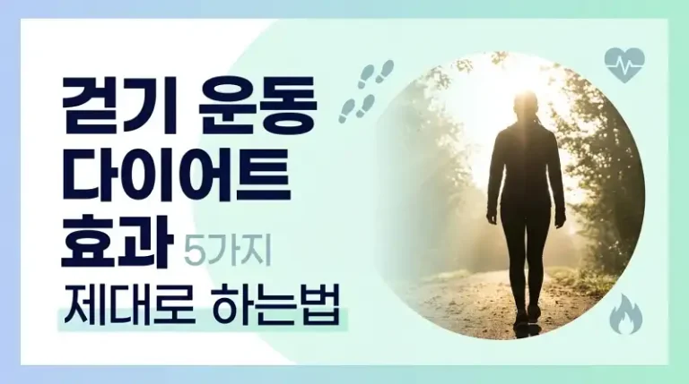 걷기 운동 다이어트 효과 5가지 제대로 하는법