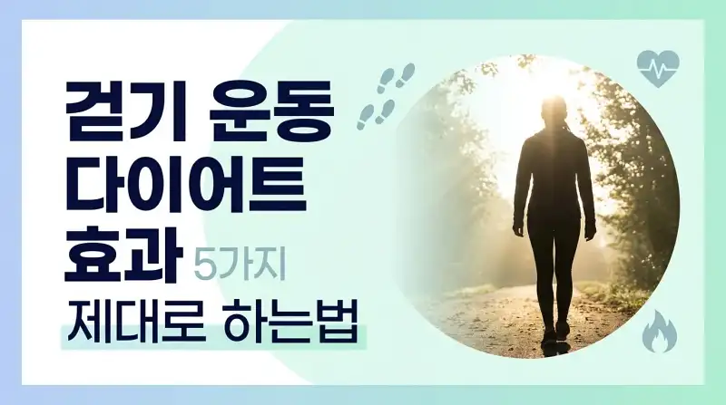 걷기 운동 다이어트 효과 5가지 제대로 하는법