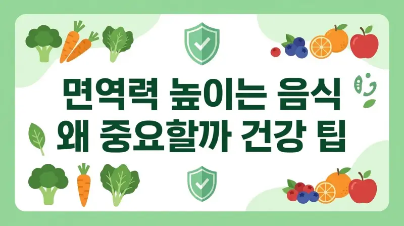 면역력 높이는 음식 왜 중요할까 건강 팁