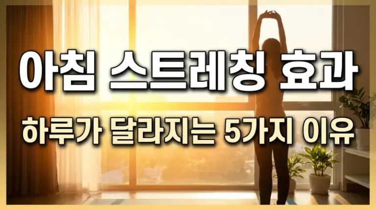 아침 스트레칭 효과 하루가 달라지는 5가지 이유