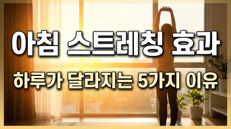 아침 스트레칭 효과 하루가 달라지는 5가지 이유