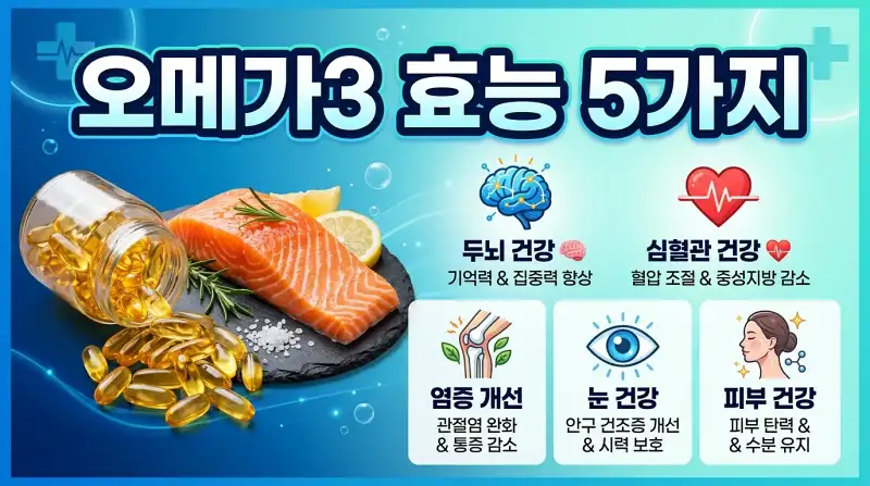 오메가3 효능 5가지 꼭 알아야 할 핵심 정보