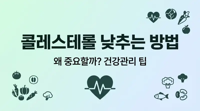 콜레스테롤 낮추는 방법 왜 중요할까 건강관리 팁