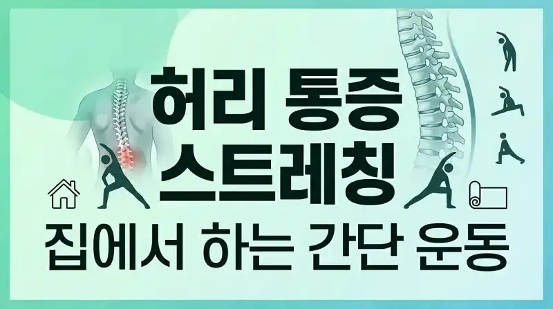 허리 통증 스트레칭 집에서 하는 간단 운동