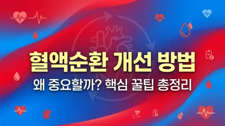 혈액순환 개선 방법 왜 중요할까 핵심 꿀팁 총정리