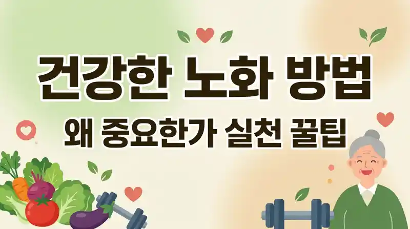 건강한 노화 방법 왜 중요한가 실천 꿀팁