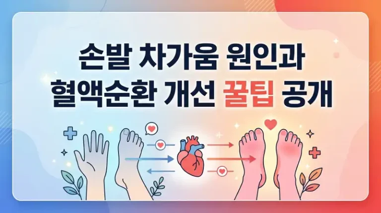 손발 차가움 원인과 혈액순환 개선 꿀팁 공개