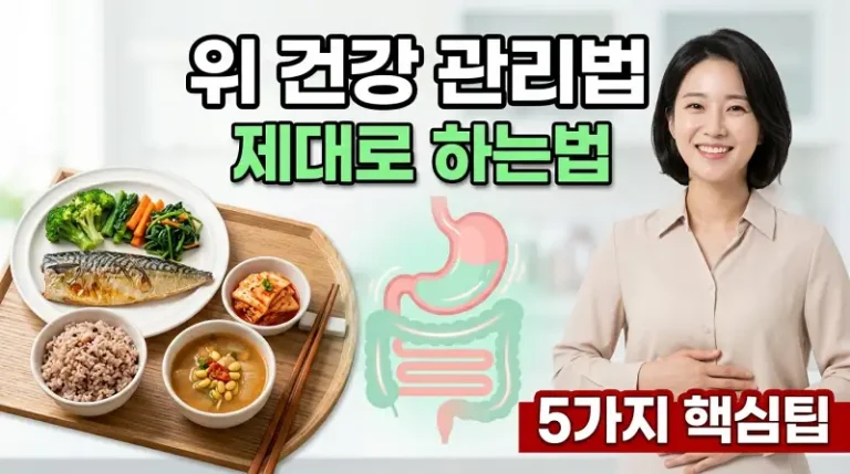 위 건강 관리법 제대로 하는법 5가지 핵심팁