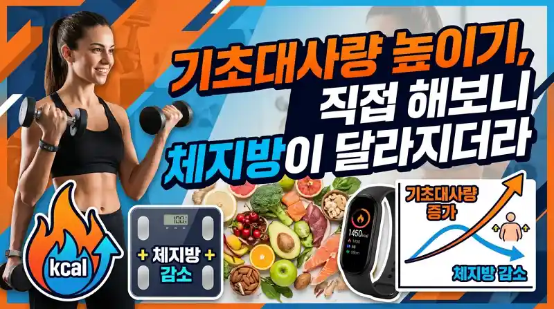 기초대사량 높이기, 직접 해보니 체지방이 달라지더라