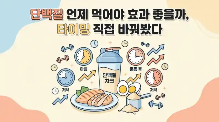 단백질 언제 먹어야 효과 좋을까, 타이밍 직접 바꿔봤다